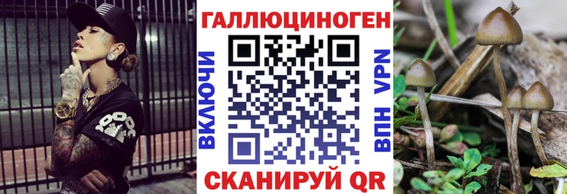 Галлюциногенные грибы Magic Shrooms  наркошоп  Бахчисарай 