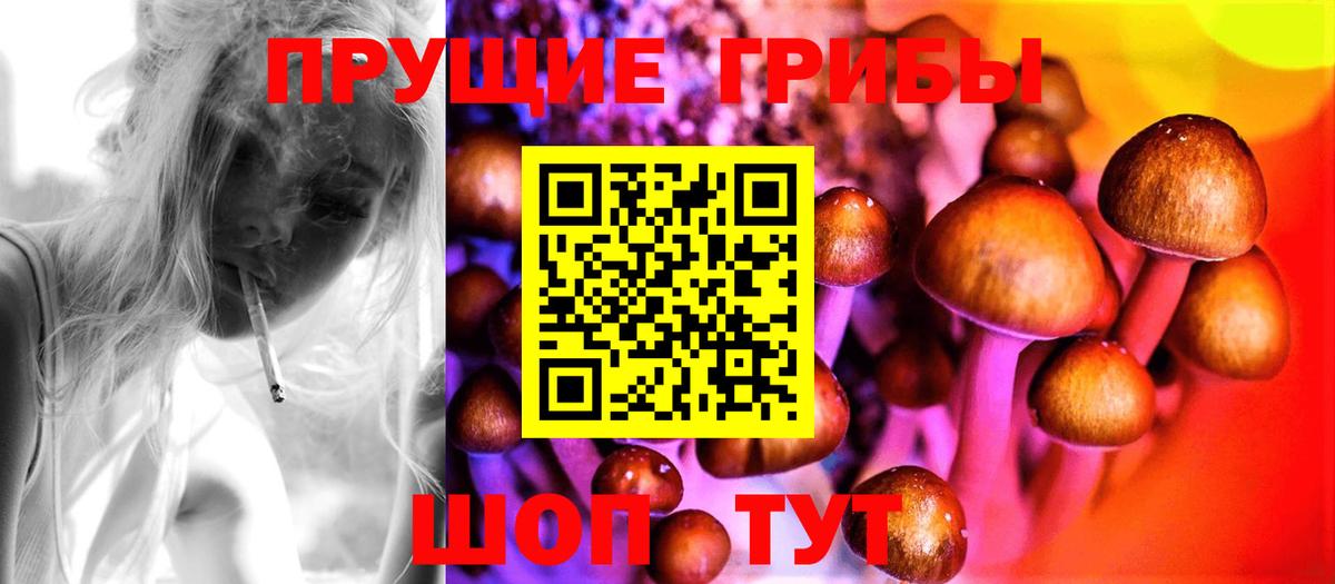 Галлюциногенные грибы Psilocybine cubensis Бахчисарай